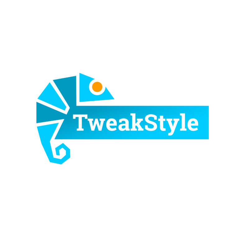 logo-tweakstyle2-arnaudneubert